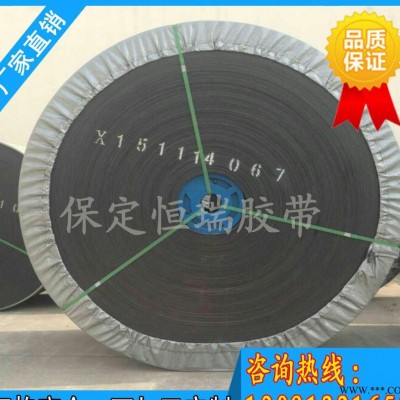 直销 加工定做型号输送带 尼龙输送带 橡胶耐热输送带