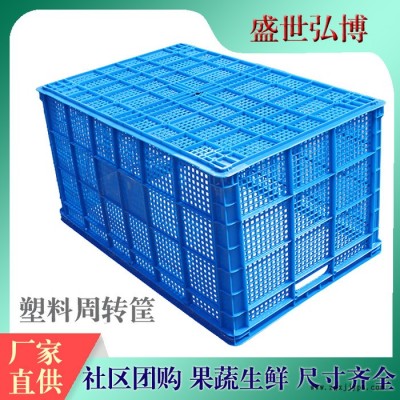 育苗筐定制  优选塑料周转筐大小密眼筐