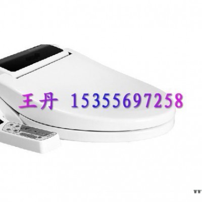 供应诺洲马桶盖模具, 马桶盖注塑模具