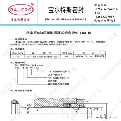活塞杆轴用脚形滑环式组合密封TB2-IB 脚型滑环TB2-IB