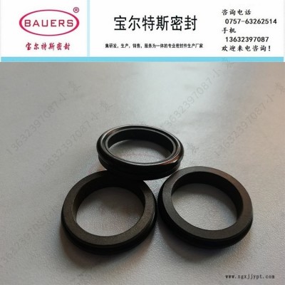 活塞杆轴用C形滑环式组合密封TB4-IA C型气动密封 宝尔特斯