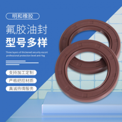 厂家供应密封圈氟橡胶耐油耐高温耐腐蚀耐磨损骨架油封