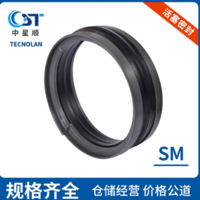活塞密封TECNOLAN密封件工程机械密封件气动活塞密封液压密封件