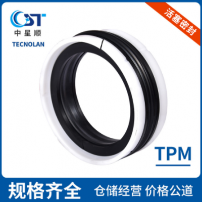 活塞密封TECNOLAN密封件TPM机械密封件往复密封件氟胶O型圈厂家
